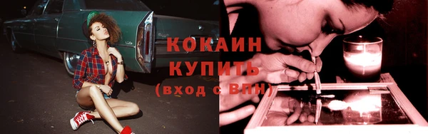 хмурый Тында