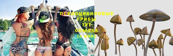 spice Невельск