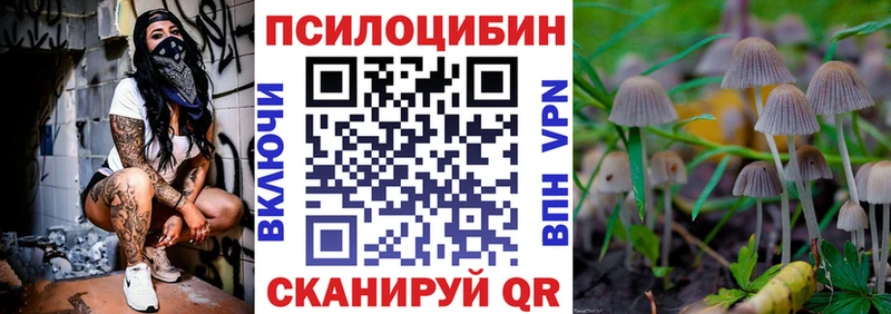 hydra ссылка  Юхнов  Псилоцибиновые грибы Psilocybe  цена  